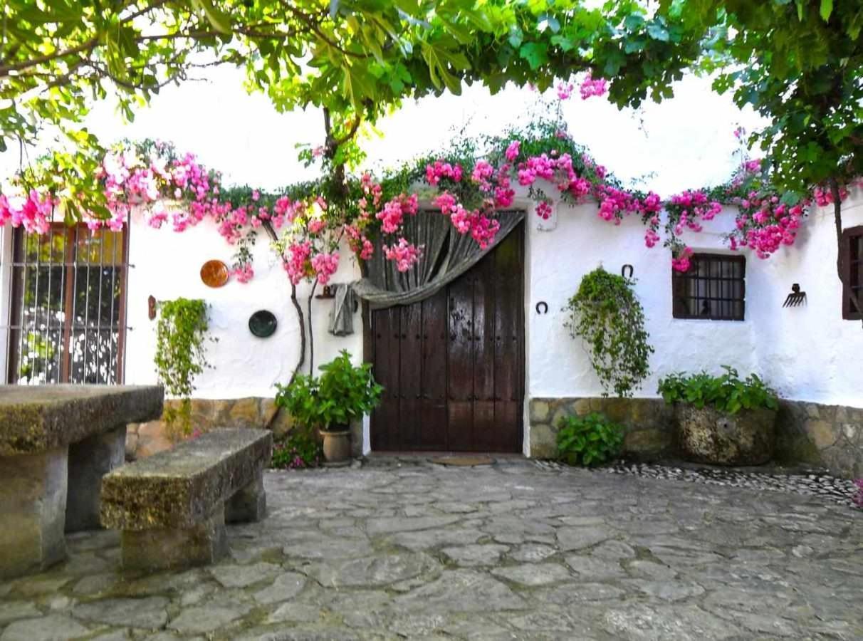 Gasthaus Cortijo La Gineta Alcalá la Real Exterior foto
