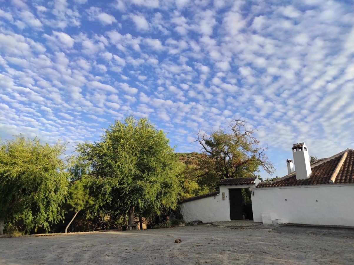 Gasthaus Cortijo La Gineta Alcalá la Real Exterior foto